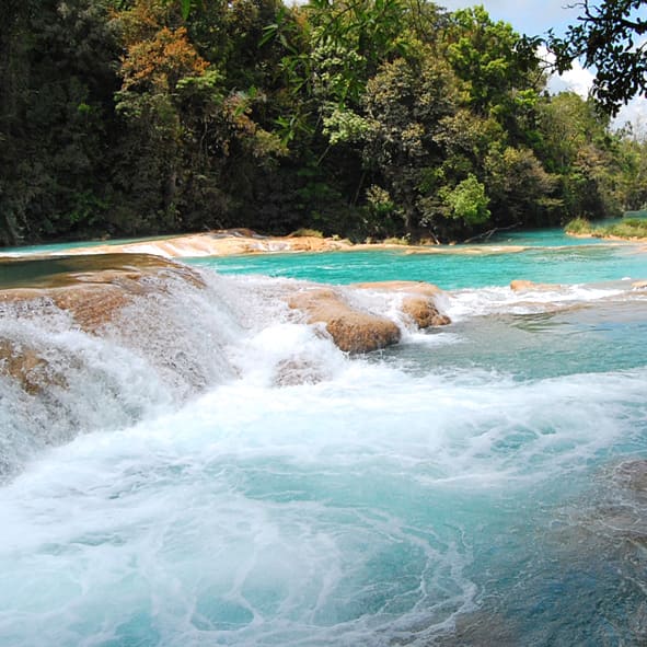 Visitar las Cascadas de Agua Azul – CHIAPAS, MARAVILLAS NATURALES